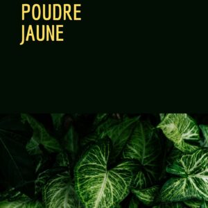 roman policier poudre jaune